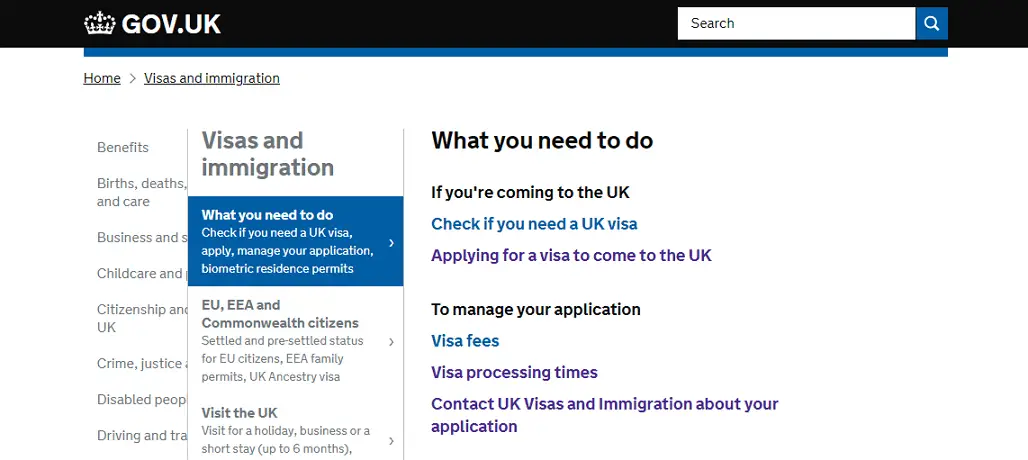 uk visa status