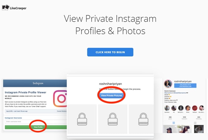 view private instagram profile