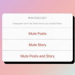 know if someone muted you on instagram