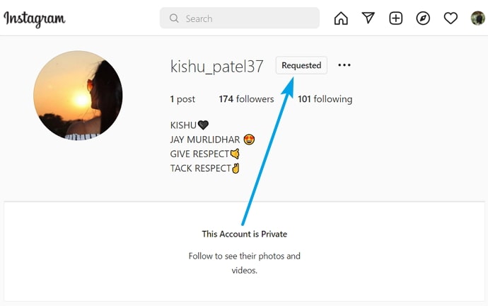 view followers of private instagram account