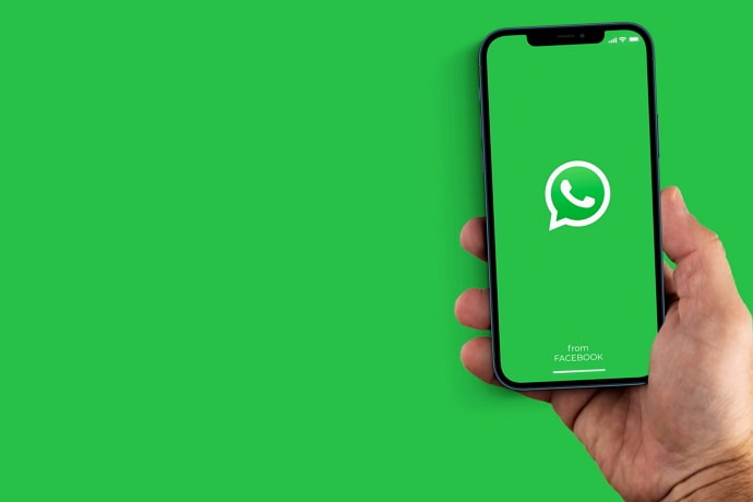 go offline on whatsapp without disconnecting from internet