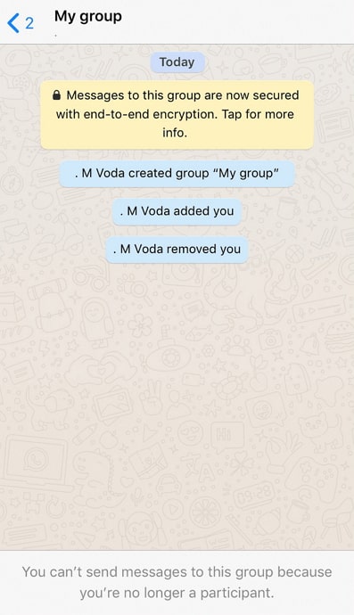 remove someone from whatsapp group without them knowing