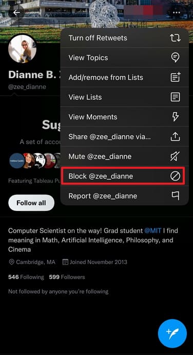 if you block someone on twitter, can they see your dms
