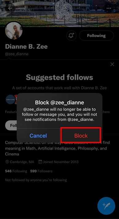 if you block someone on twitter, can they see your dms