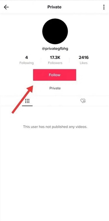 view followers of private tiktok account