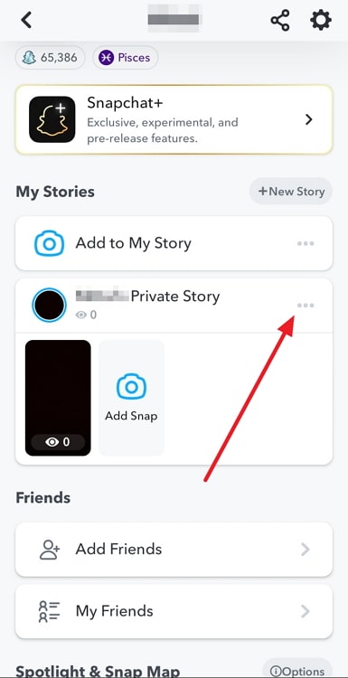add someone to an already created private story on snapchat