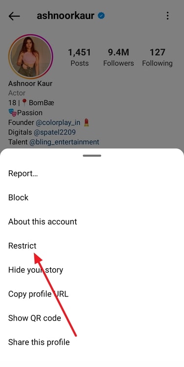 if you restrict someone on instagram, can they still see your posts and stories