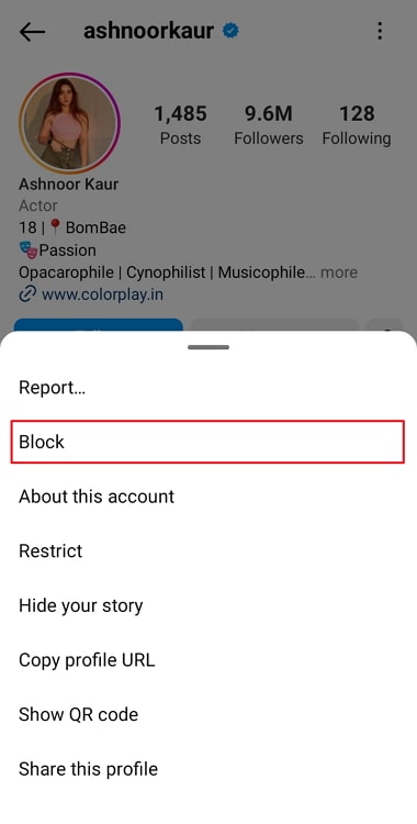 does instagrammer mean they blocked you, temporarily disabled or deleted their instagram account