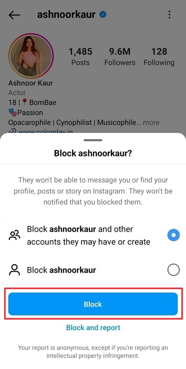 does instagrammer mean they blocked you, temporarily disabled or deleted their instagram account